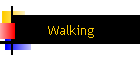 Walking