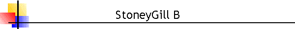 StoneyGill B